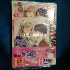 【特典付】ドS騎士団長のご奉仕メイドに任命されましたが、私××なんですけど!?