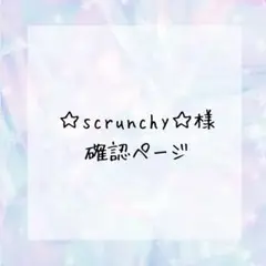 ☆scrunchy☆プロフご確認下さい様確認ページ