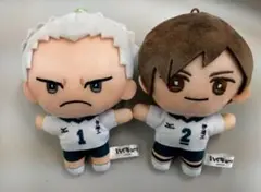 ハイキュー!! みにコレ！ぬいぐるみマスコット 二口堅治 青根高伸 2種セット