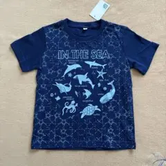【新品】海の生物デザイン Tシャツ 110サイズ