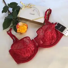 ❤︎ 高級フランス Chantelle 美しい赤 総レースブラジャー