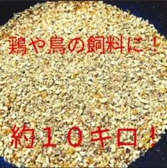 2025年最新】くず米 鳥の餌の人気アイテム - メルカリ