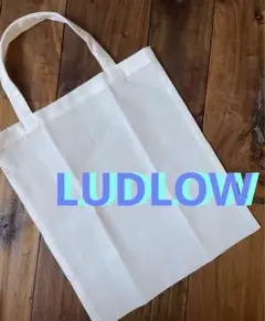 LUDLOW ラドロー ノベルティ トート エコバッグ