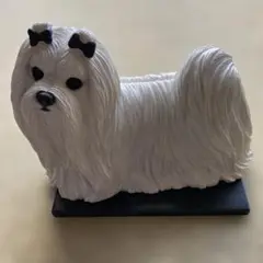 Item thumbnail for item f9b28845-a04f-4d32-9061-a6bad9f6a909