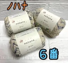 ノハナ 6番 アジサイ 3個