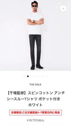 【完売品】　THE SOLE アンチシースルーTシャツ ホワイト　ポケット付き
