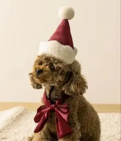 Item thumbnail for item c7edbcd5-ddb1-4e24-88c2-a54d0579f49e