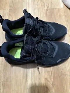 NIKE ジョーダン　ジャンプマン　デルタ27センチ