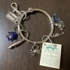 パラオ土産 ブレスレット キーチェーン