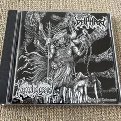 Necroholoaus / Stiphnoz - Ghosts of Holo