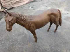 馬　置物　金属製
