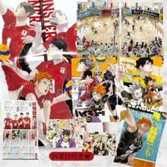 【ハイキュー‼︎】古舘 春一　付録ポスター　カラー扉絵　切り抜き　ジャンプ　原作