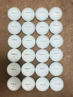 Titleist PRO V1Xゴルフロストボール 24個セット