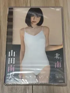 【未開封】山田南実 DVD 北から南へ