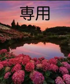 sufiakun様 お取置き品　8/10迄