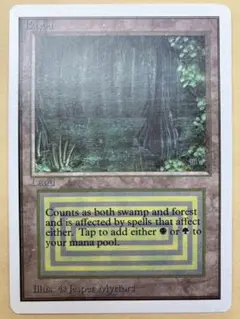 2025年最新】mtg bayouの人気アイテム - メルカリ