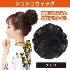 ウィッグ ブラック シュシュ エクステ つけ毛 パーティー 七五三
