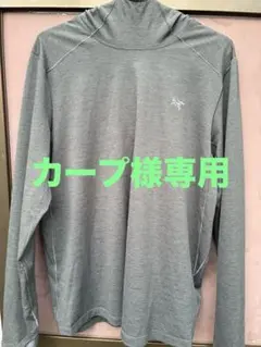 値下げ交渉可能です！アークテリクス　コーマックフーディ