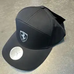 Item thumbnail for item 7ce5190b-23e8-4113-98d9-5eaeeb4cdab4