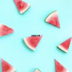田邉知子様　DDビッグスリーブ、黒