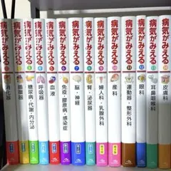 新品未使用 病気がみえる 1~15巻