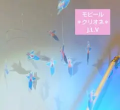 半透明 クリオネ 魚 透明標本 モビール
妖精
