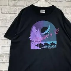 USA製90sヴィンテージTシャツ！シングルステッチ　ブラック半袖古着L718