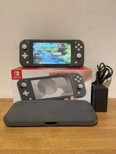 ケース・画面保護フィルム付:Nintendo Switch LITE グレー