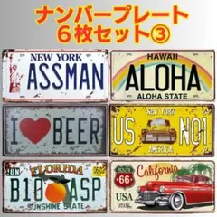 3【6枚セット】アメリカン ナンバープレート ブリキ看板 USA風 ディスプレイ