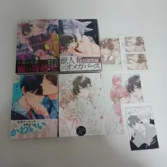 BL 漫画 まとめ売り ④