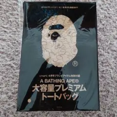 Item thumbnail for item d8fa8407-253e-429c-9eb3-254af7836dda