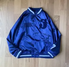 old Stussy ストライプ　スタジャン　Authentic Gear レア Special!!】90's old stussy Rasta Dragon Design Varsity