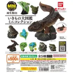 いきもの大図鑑　両生類　01 全5種　コンプ　ミニコレクション