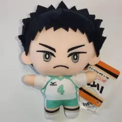 岩泉一 みにコレ！ぬいぐるみマスコット3 「ハイキュー!!」