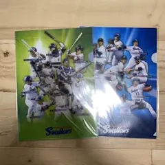 東京ヤクルトスワローズ クリアファイル 2点セット ※クリアファイル合計4枚