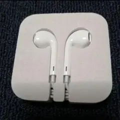 Apple純正　旧型有線イヤホン