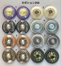 ボタンカボション250① 8/20