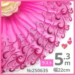 【ラスト】№250635 チュールレース 5.3m