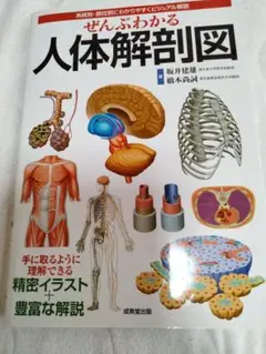 ぜんぶわかる人体解剖図