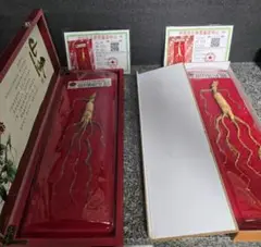 中国 野山参 高麗人参