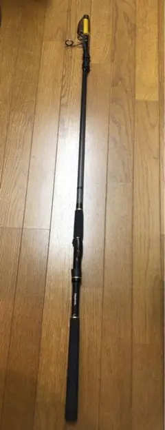 ダイワ ラテオ 100TM・Q