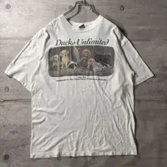 Ducks Unlimited 犬プリント USA製 Tシャツ XL