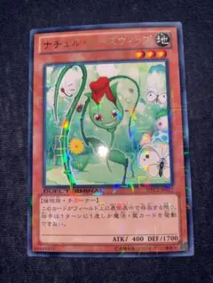 遊戯王 ナチュルローズウィップ DTC 1枚 美品