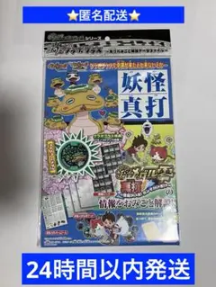 妖怪ウォッチ　妖怪真打　ファイル　メダル付き 未開封品