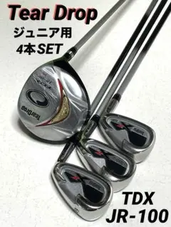 2025年最新】TDX JR-100の人気アイテム - メルカリ