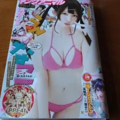 ヤングアニマル 2024.no.12 えなこ両面クリアファイル付き