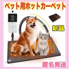 Item thumbnail for item 9a94a127-d06f-4a25-bec8-773ffc3df702
