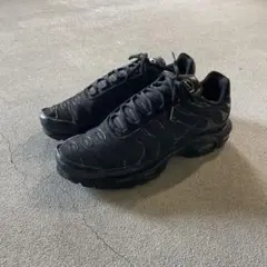 nike air max plus トリプルブラック