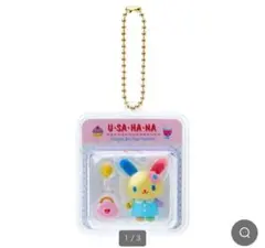 ウサハナ　サンリオ　ミニチュアパッケージチャーム