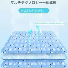 ☆最低価格☆ 多機能ソフトアイスマットレス 70x100cm